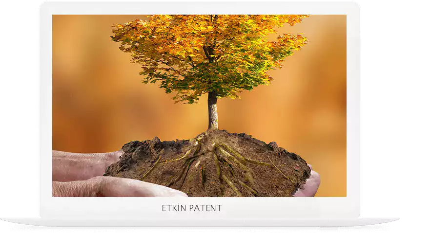 çevre yönetim sistemi denetimi-Wan Patent
