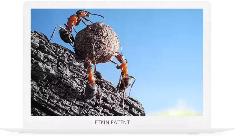 marka tescil sorgulama kriterleri-Wan Patent